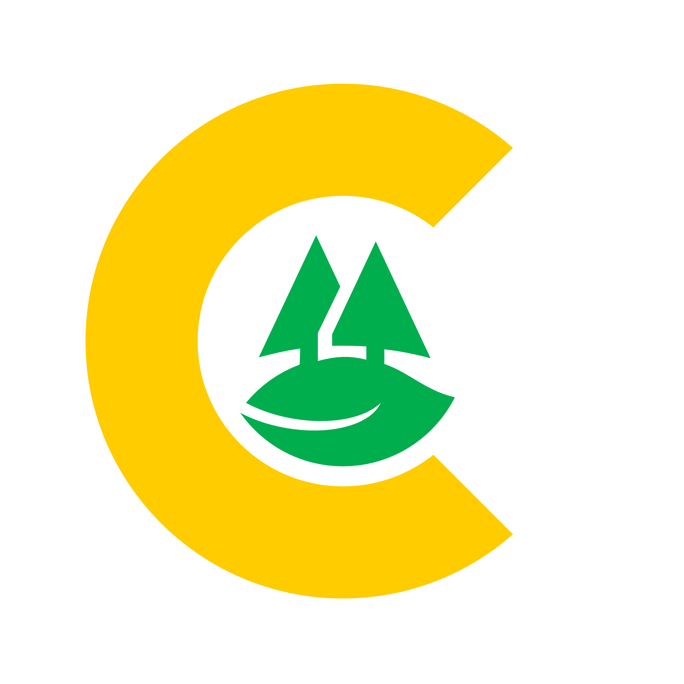 CAYCSOL
